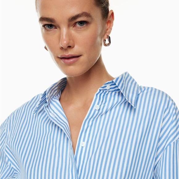 NWT Aritzia Babaton Essential Relaxed Shirt - M - Picture 3 of 8